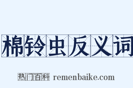 棉铃虫反义词是什么意思的图片